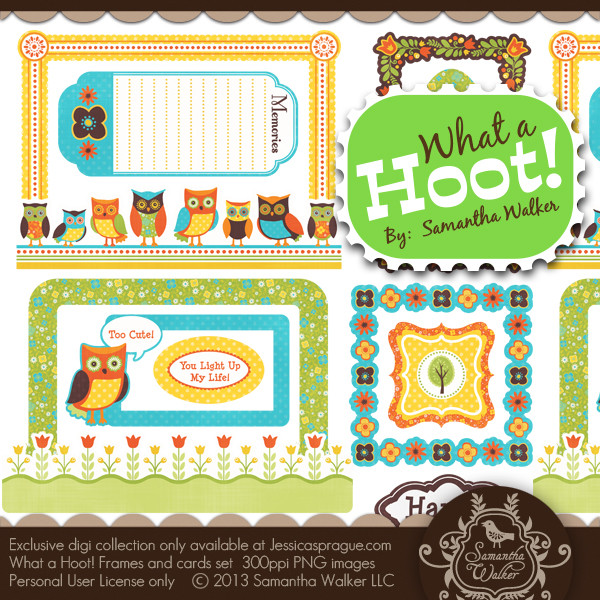 What a Hoot! Frames and Cards Set