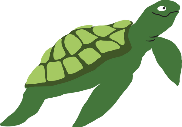 By The Sea Turtle SVG Cut File