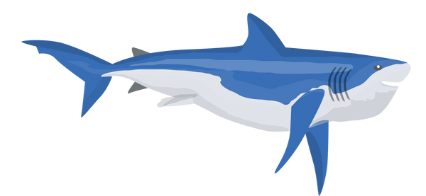 Shark Print & Cut File