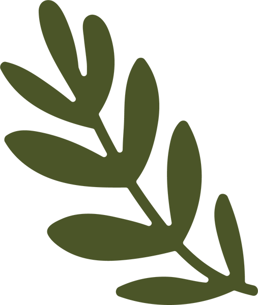 Fern Leaf SVG Cut File