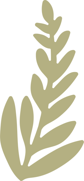 Fern Leaf #2 SVG Cut FIle