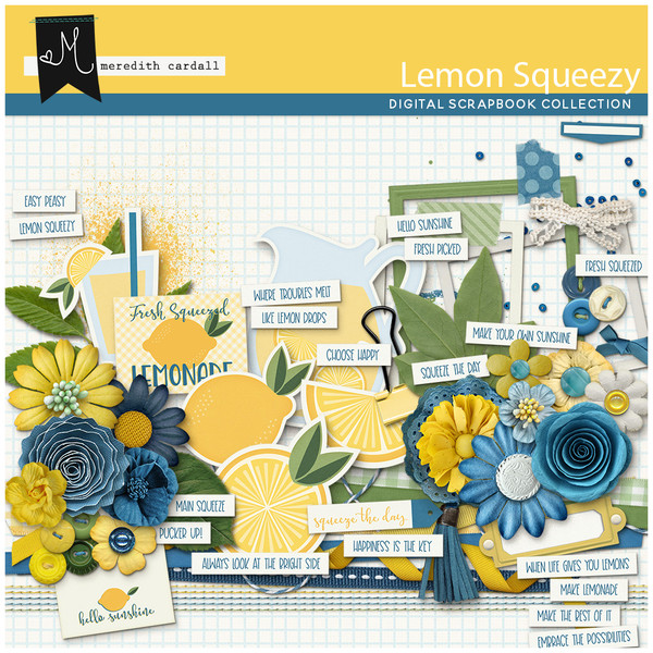 Lemon Squeezy Element Pack