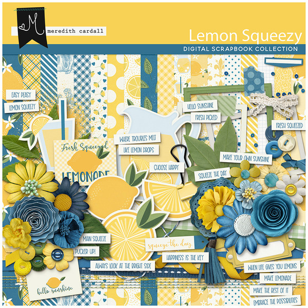 Lemon Squeezy Kit