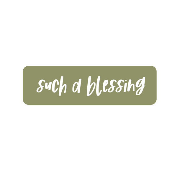Such A Blessing SVG Cut File
