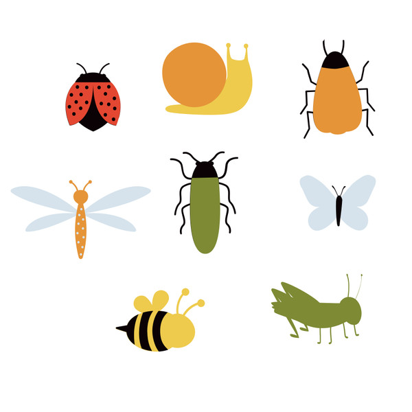 Bugs SVG Cut File