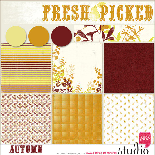 FRESH PICKED AUTUMN PAPERS