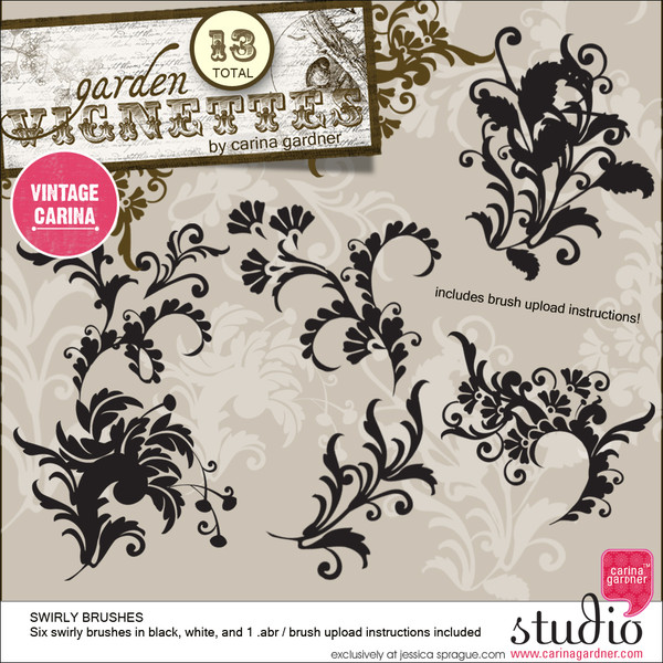 GARDEN VIGNETTES Swirly Brushes