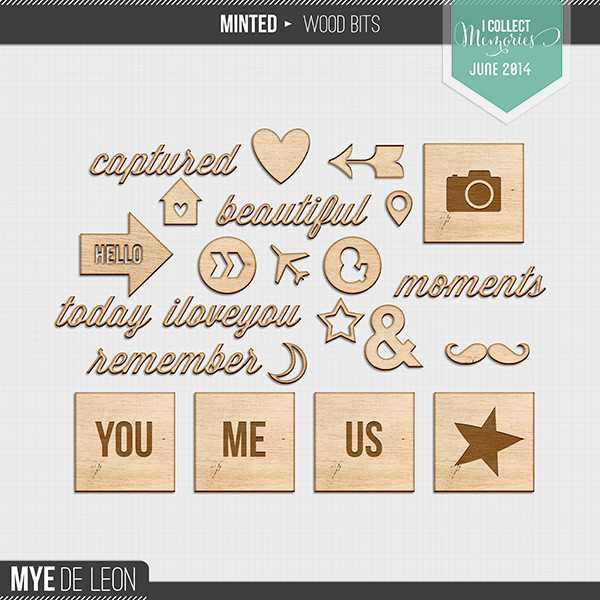Minted | Wood Bits
