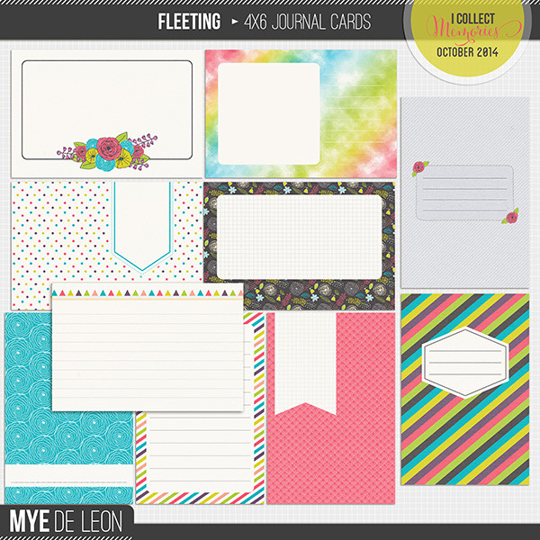 Fleeting | 4x6 Journal Cards