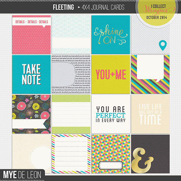 Fleeting | 4x4 Journal Cards