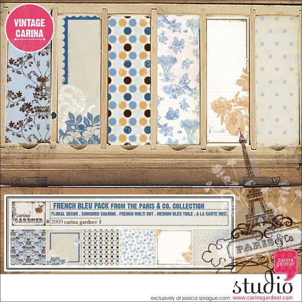 PARIS & CO French Bleu Paper Pack