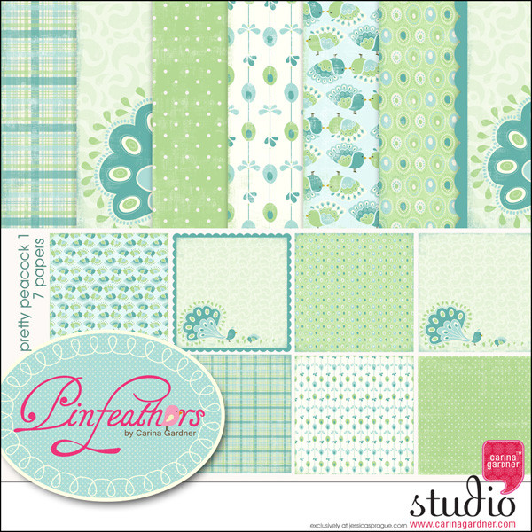 PINFEATHERS - Pretty Peacock 1