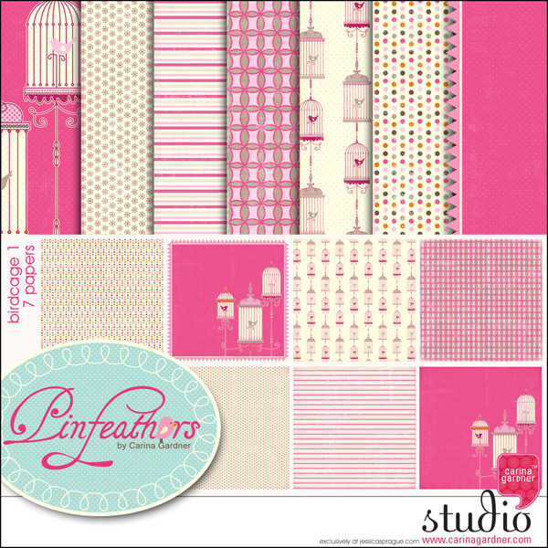 PINFEATHERS - Birdcage 1