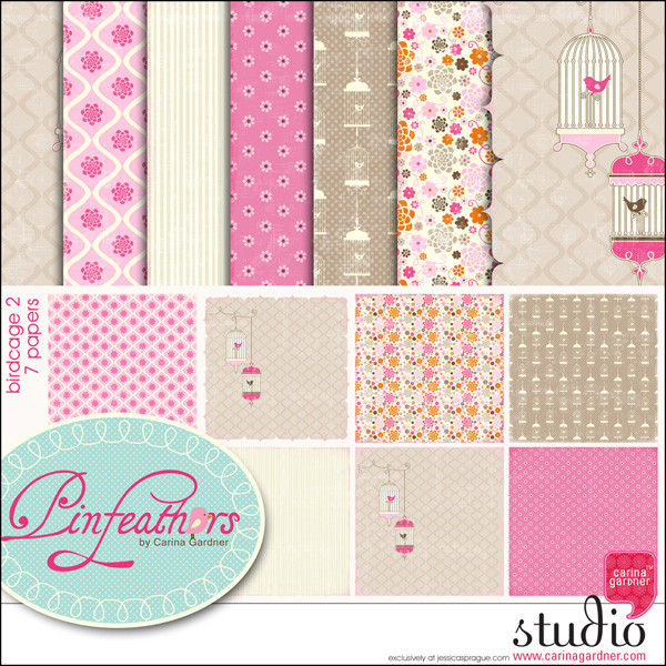 PINFEATHERS - Birdcage 2
