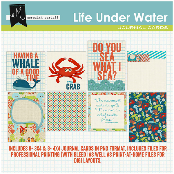 Life Under The Water Cards
