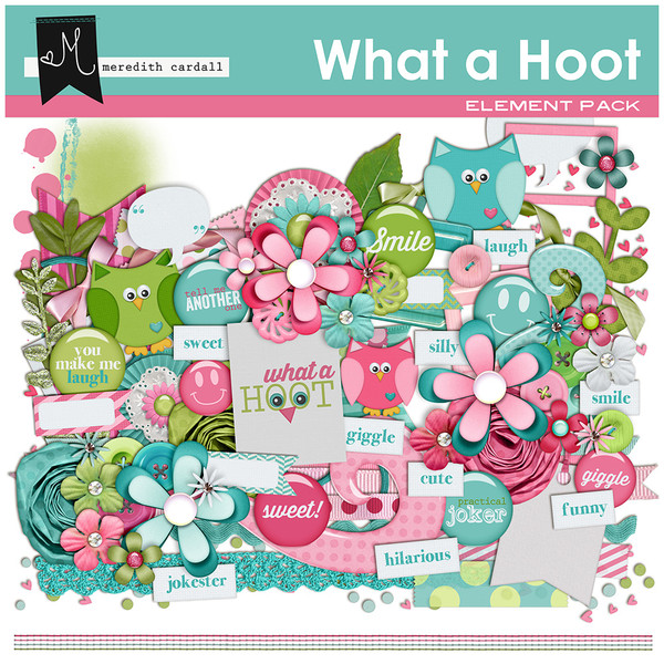 What a Hoot Elements