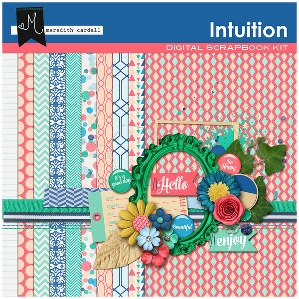 Intuition Kit
