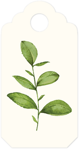 Leaf Tag Print & Cut File