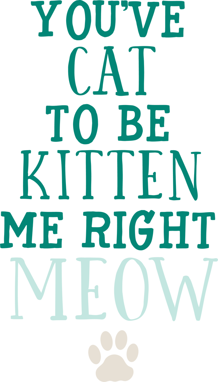 You've Cat To Be Kitten Me SVG Cut File