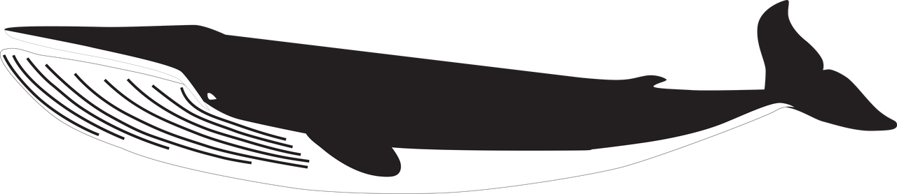 Humpback Whale SVG Cut File