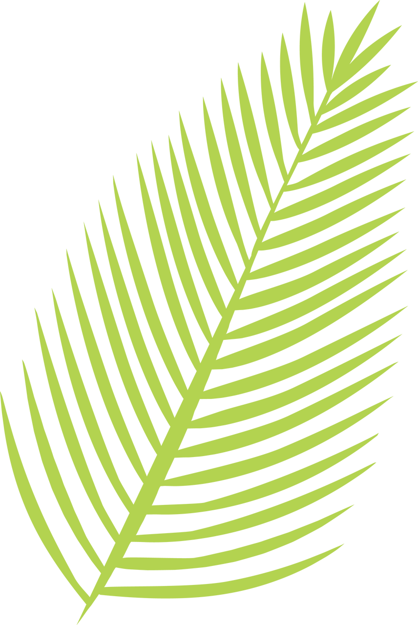 Palm Leaf Svg Cut File Snap Click Supply Co Palm Leaf Svg Cut File Snap Click Supply Co