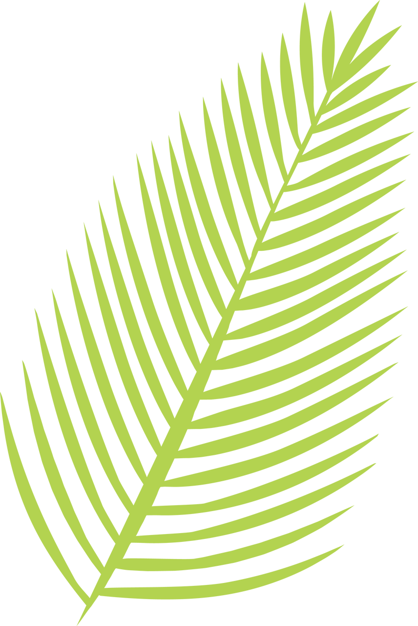 Palm Leaf SVG Cut File