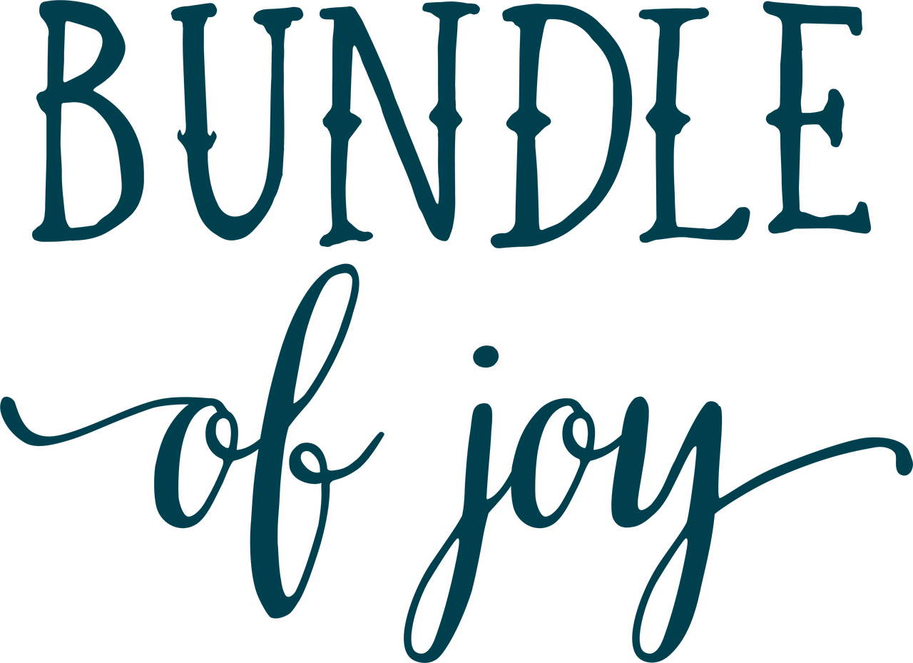 Bundle Of Joy SVG Cut File