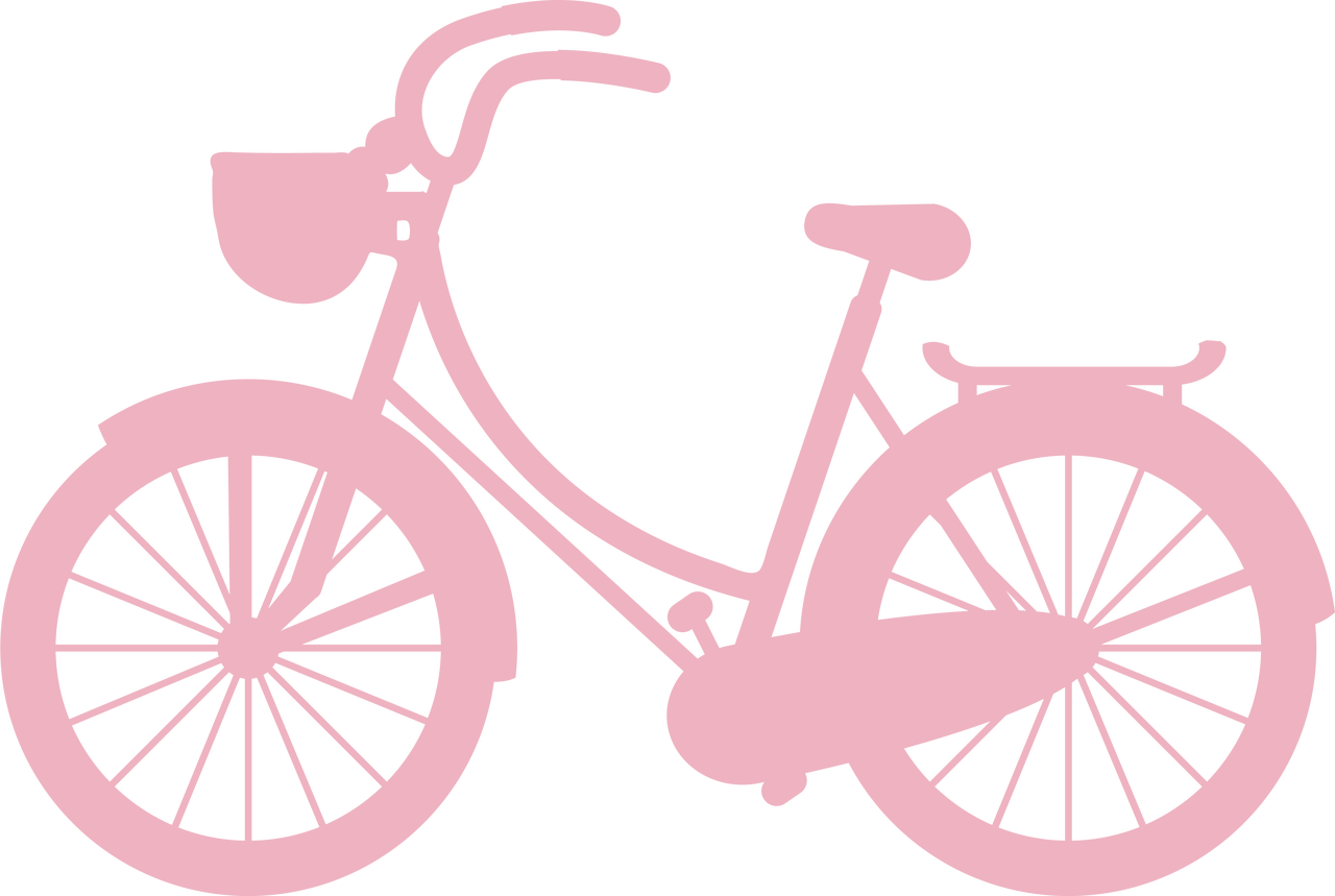 Bike Silhouette SVG Cut File