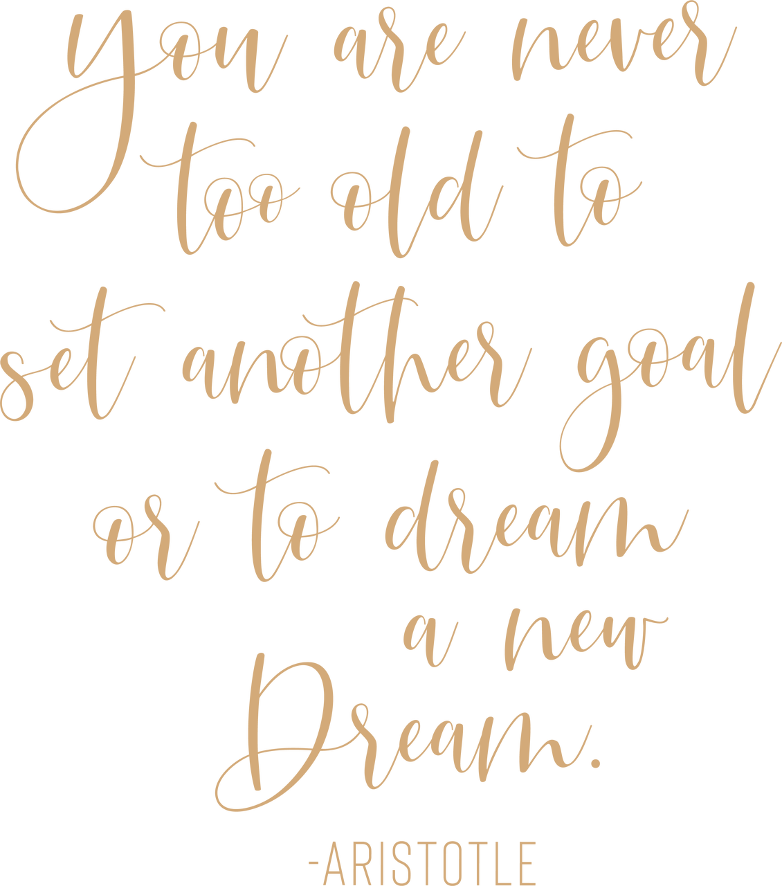 You Are Never Too Old Quote SVG Cut File