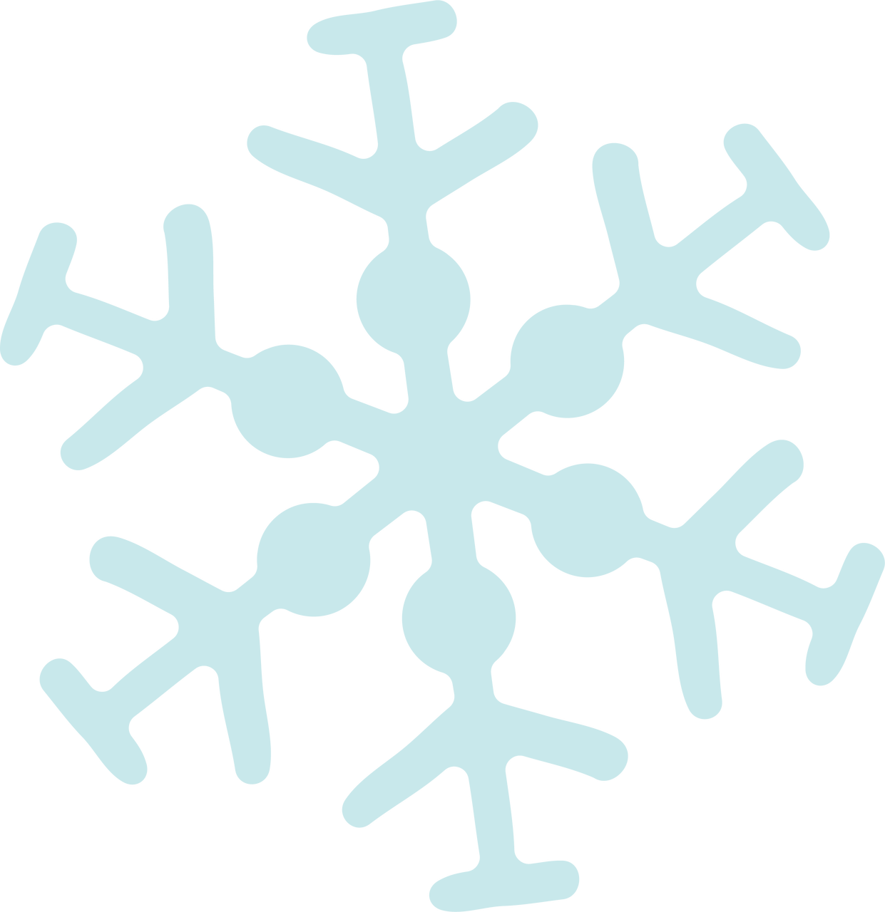 Celebrate Winter Snowflake #4 SVG Cut File