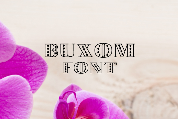 CG Buxom Font