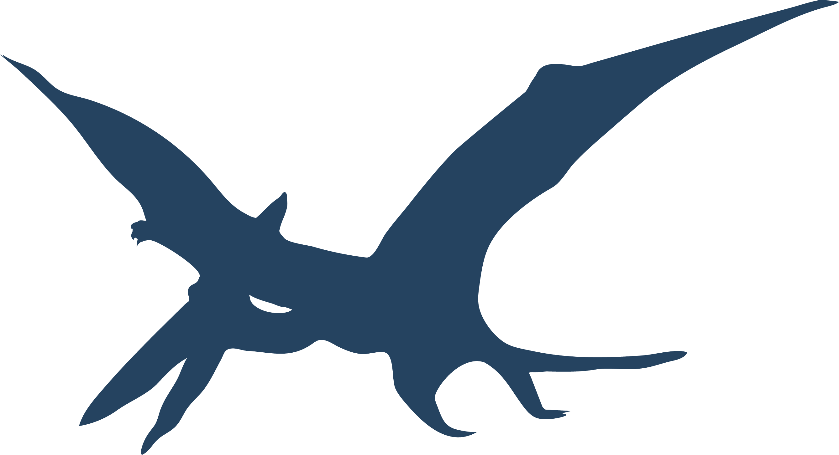 Pterodactyl Dinosaur SVG PNG JPG Digital Graphic by kaybeesvgs · Creative  Fabrica
