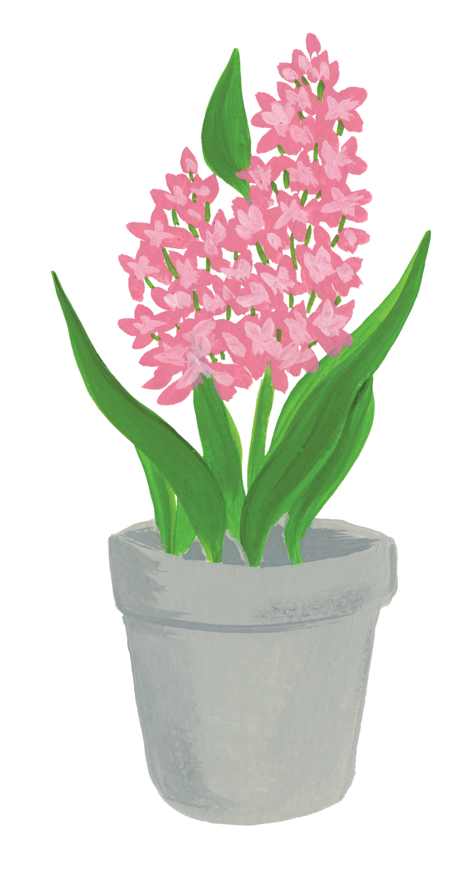 Flower pot stock illustration. Illustration of plant, life - 7595257