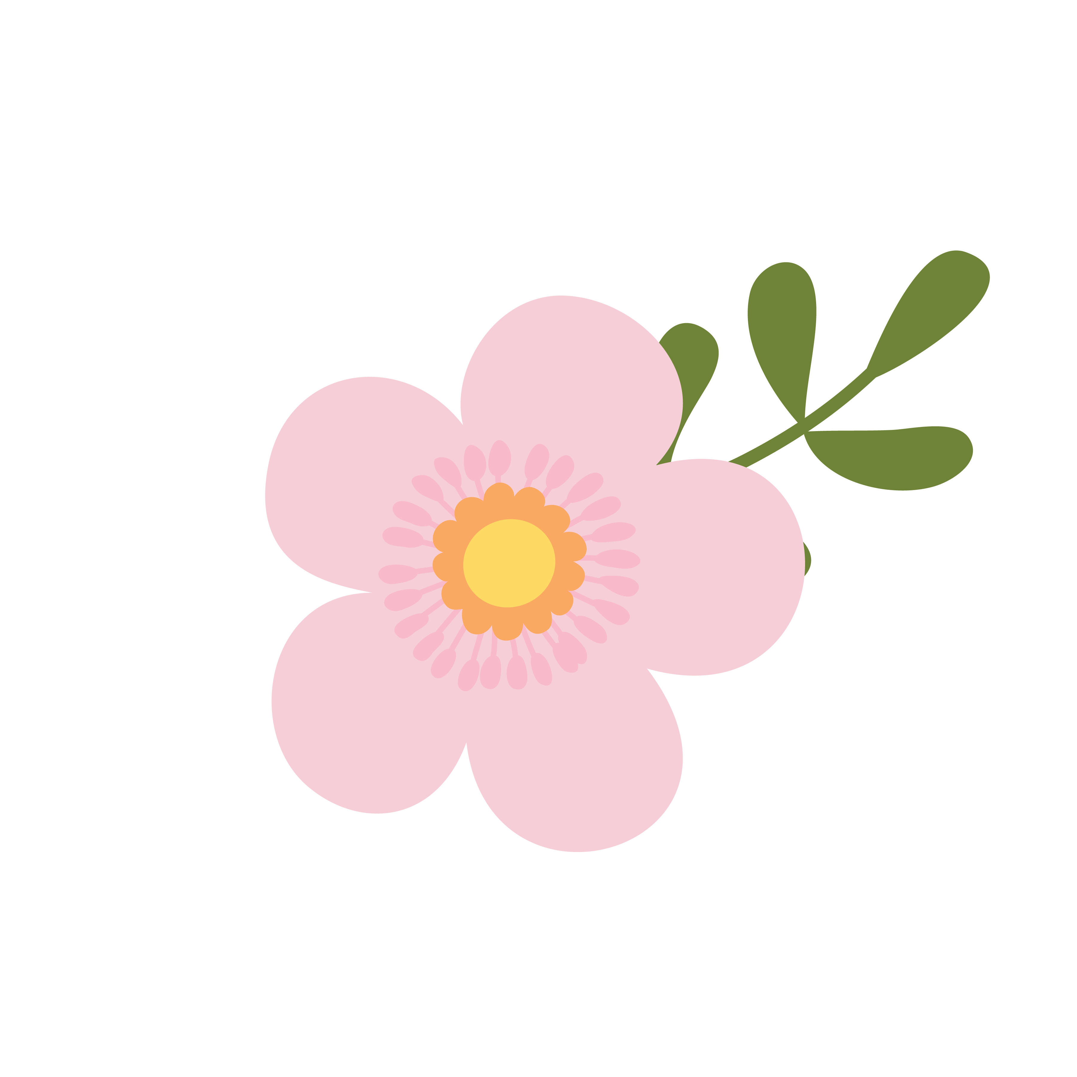 pink flowers clipart