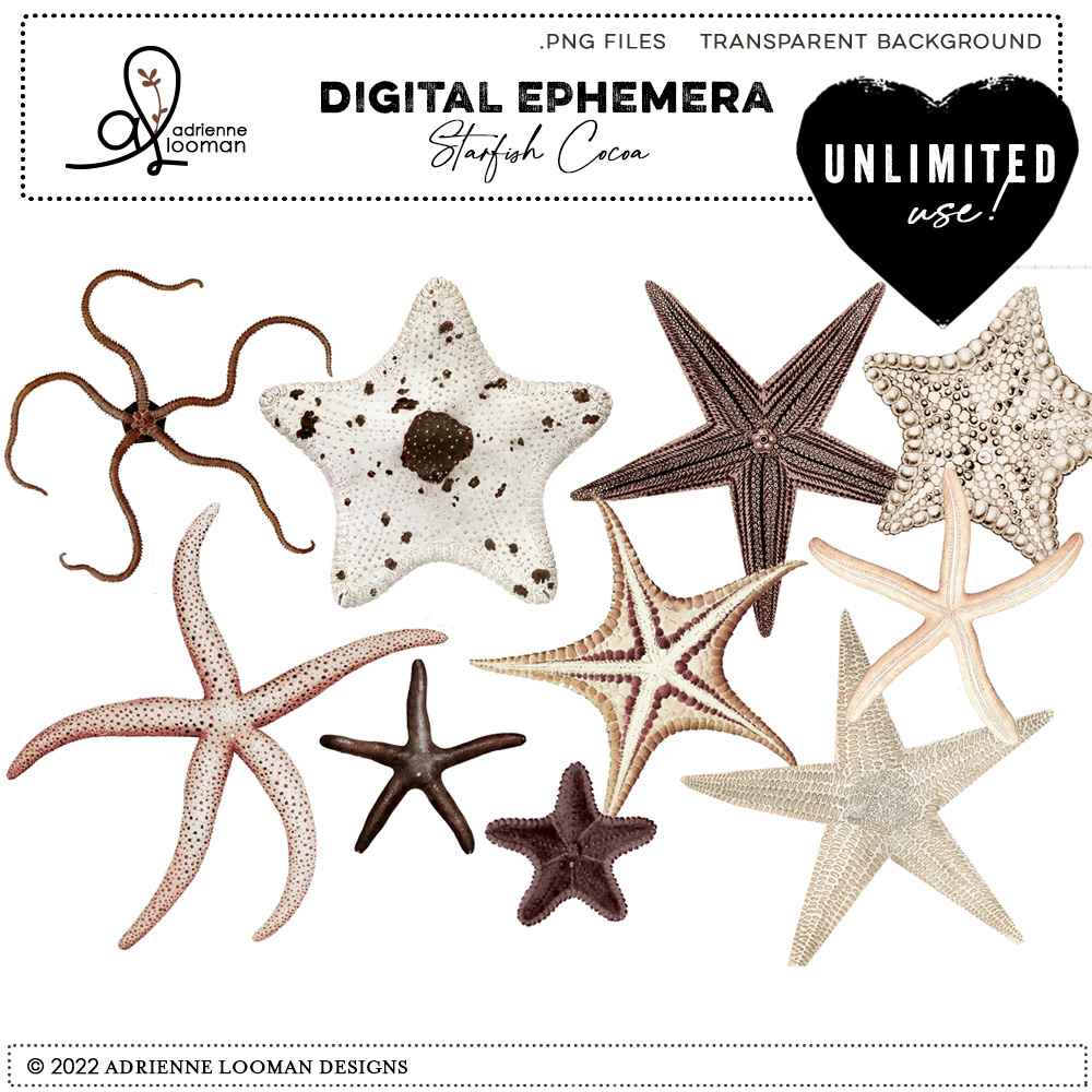 Starfish Cocoa unlimited use graphics