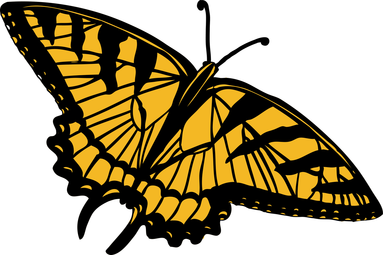 Butterfly #9 SVG Cut File