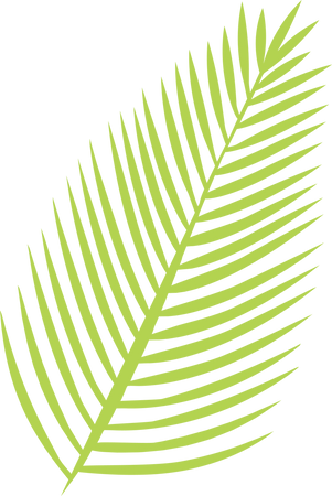 Palm Leaf SVG Cut File - Snap Click Supply Co.