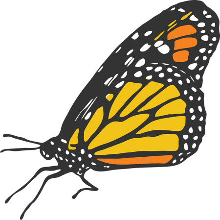 Free Free Butterfly Svg With Name 390 SVG PNG EPS DXF File