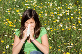 ​Rhodiola Rosea Supplements and Spring Allergies