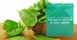 Nutrition and Supplements: The Health Benefits of Leafy Greens