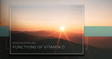 Rhodiola Rosea and Functions of Vitamin D