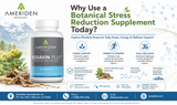 Why Use a Botanical Stress Reduction Supplement Today?