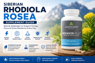 Siberian Rhodiola Rosea Supplement Guide