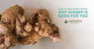 Health Supplement Store: Why Ginger is Good For You