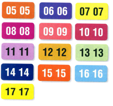 Color Coded Years - Roll