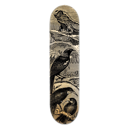 Tuatara Skateboard Deck
