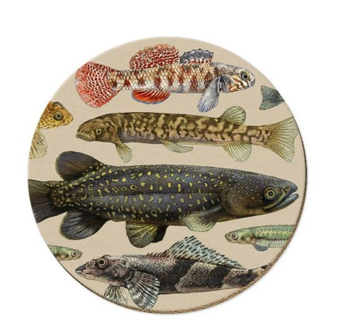 Freshwater fish coaster by Tanya Wolfcamp