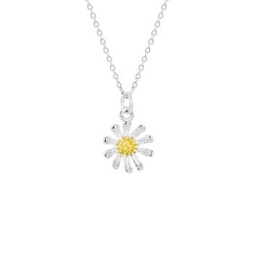 Sterling silver wild daisy necklace from Evolve New Zealand.