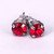 Swarovski Crystal Studs - Light Siam