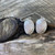 Silver paua shell earrings